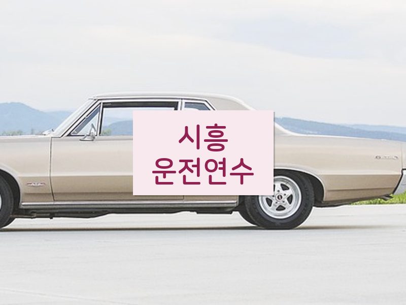 시흥운전연수 후기