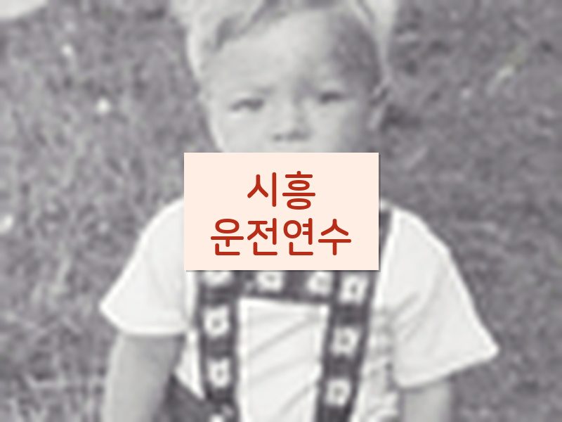 시흥운전연수 후기