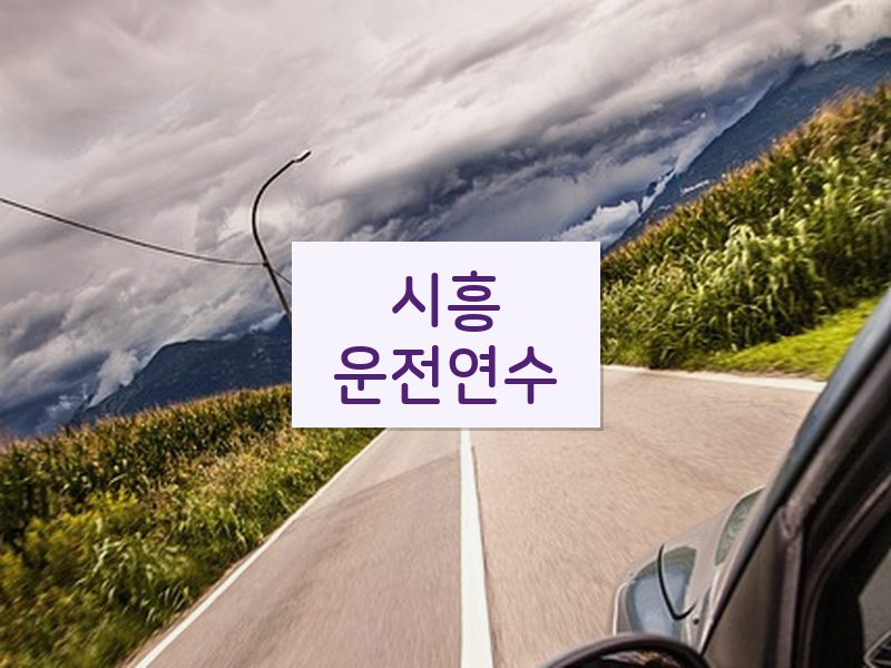 시흥운전연수 후기