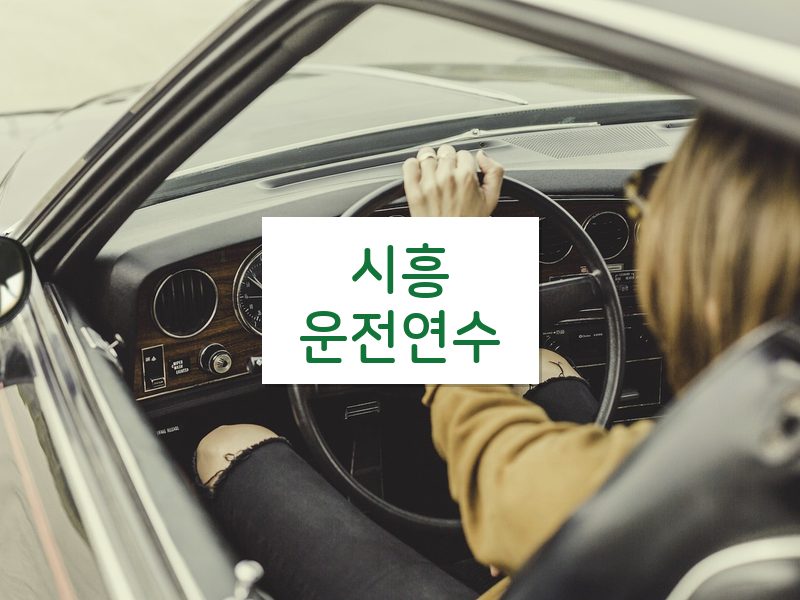 시흥운전연수 후기