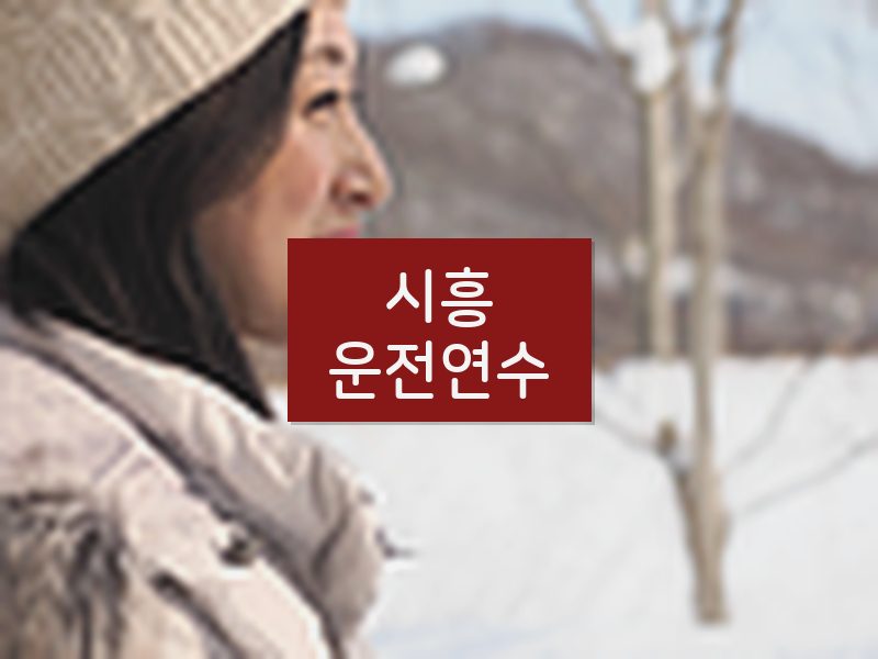 시흥운전연수 후기