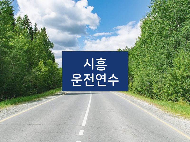 시흥운전연수 후기