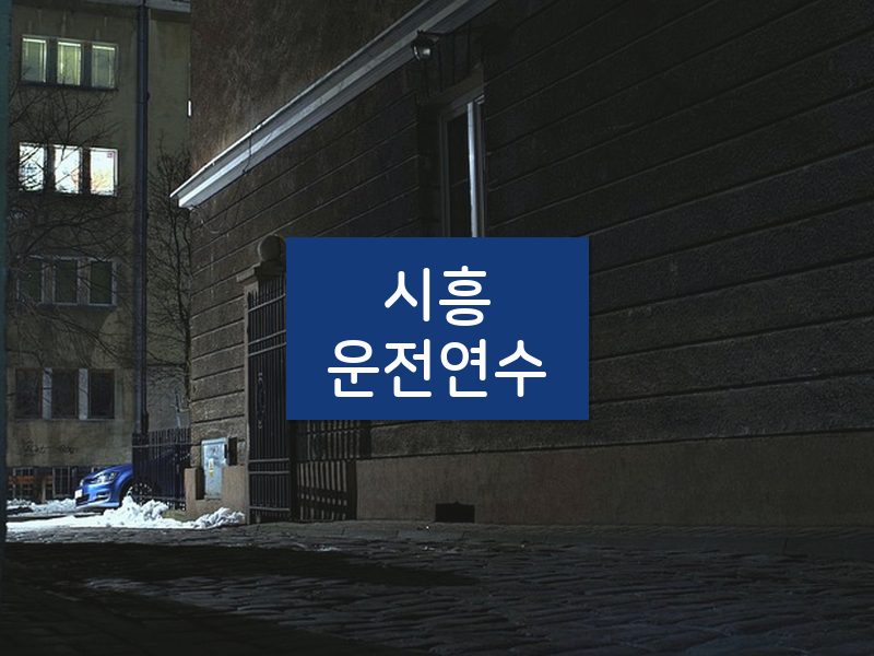 시흥운전연수 후기