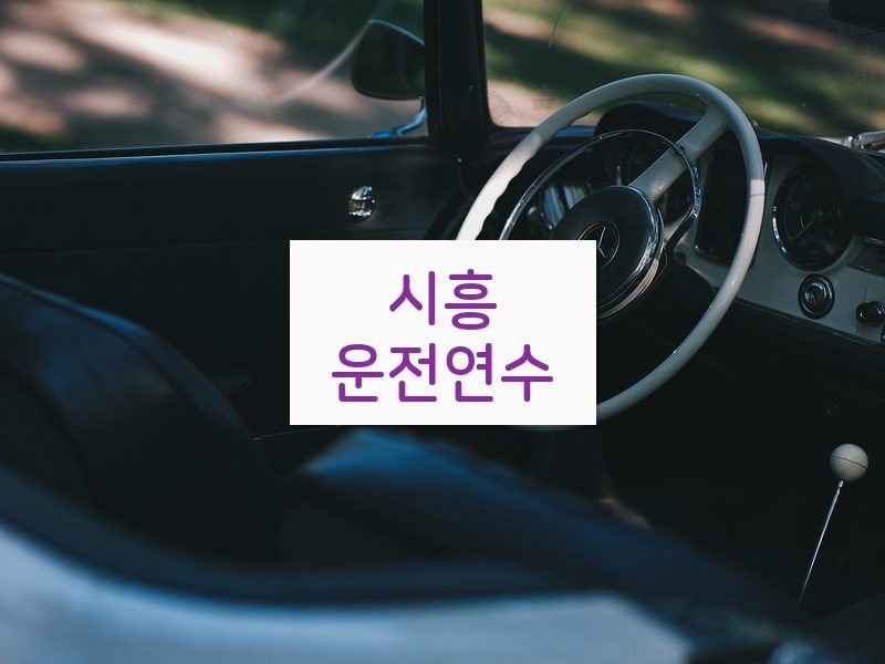 시흥운전연수 후기