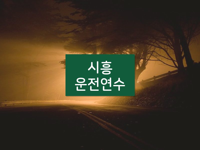 시흥운전연수 후기
