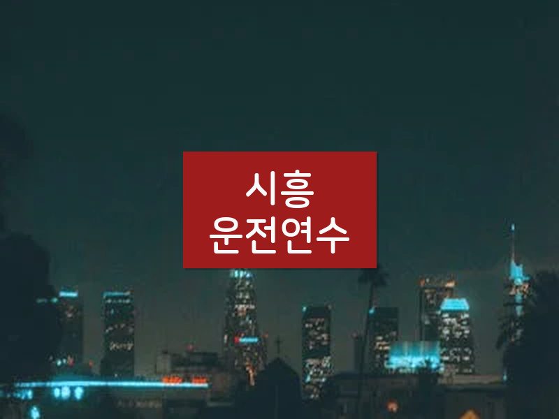 시흥운전연수 후기