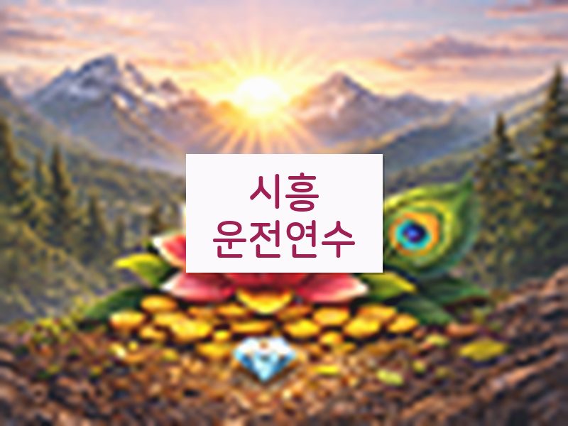 시흥운전연수 후기