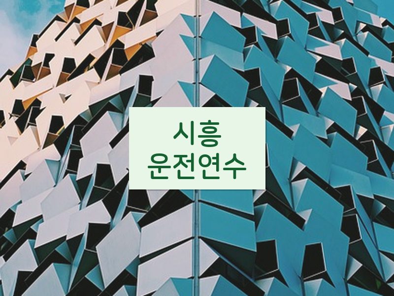 시흥운전연수 후기