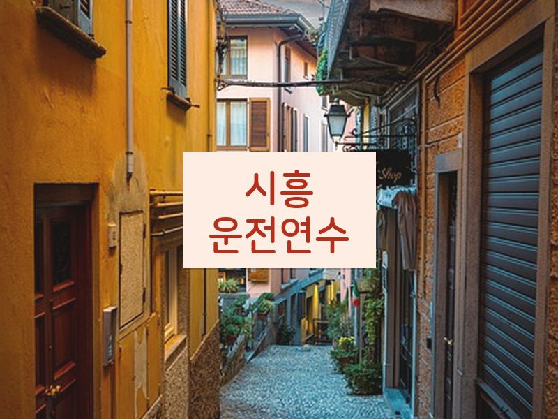 시흥운전연수 후기