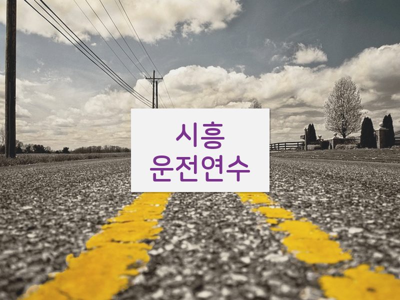 시흥운전연수 후기