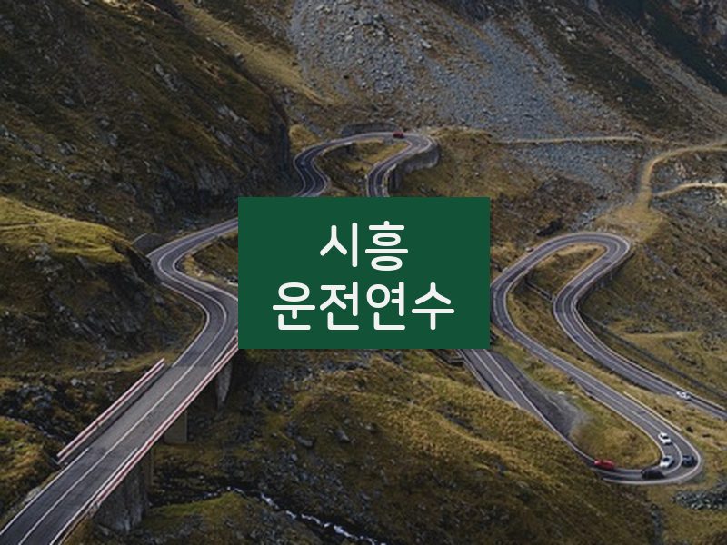 시흥운전연수 후기