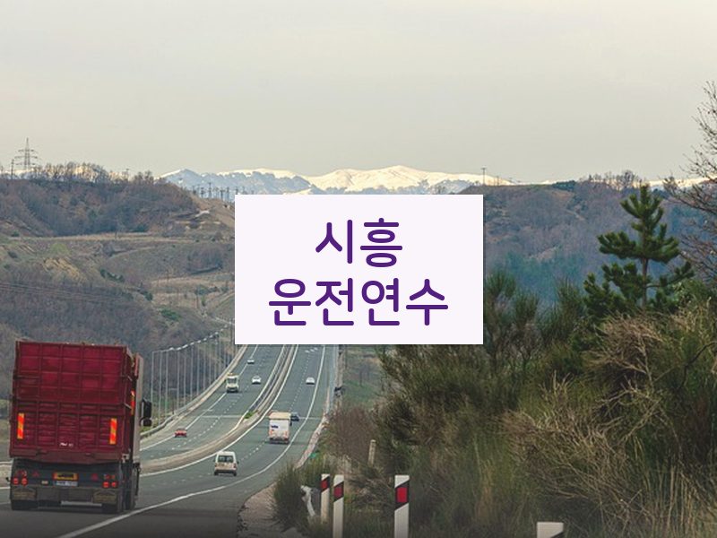 시흥운전연수 후기