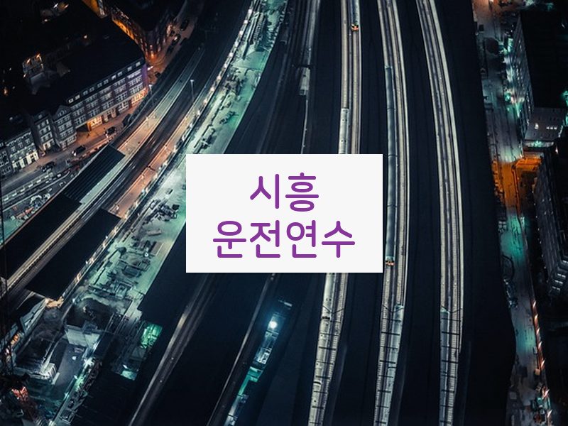 시흥운전연수 후기
