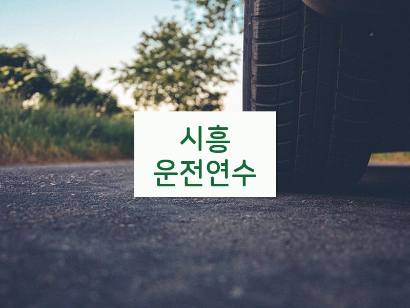 시흥운전연수 후기