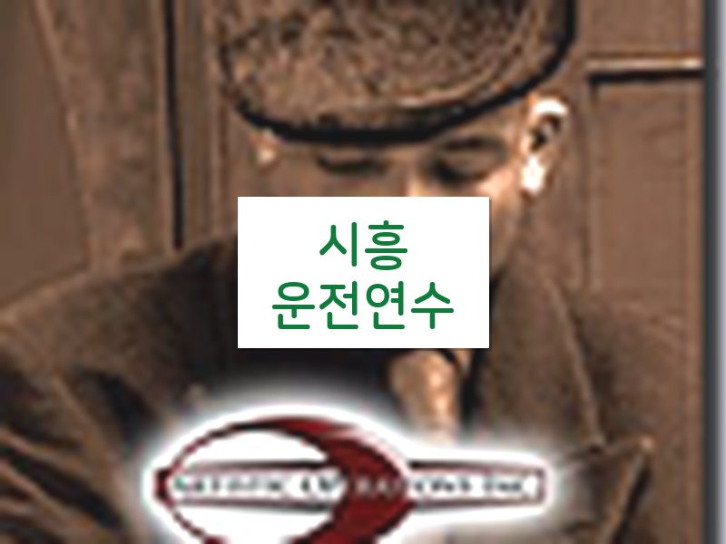 시흥운전연수 후기