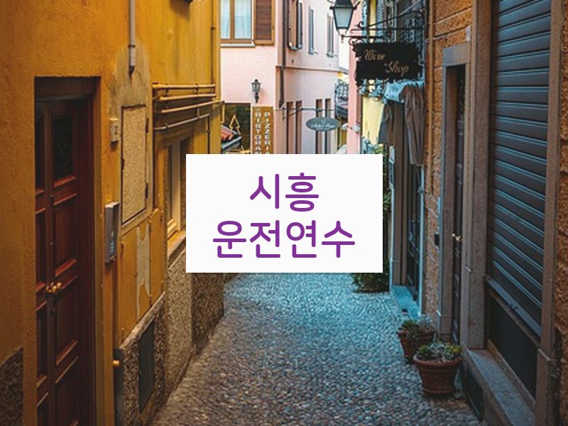 시흥운전연수 후기