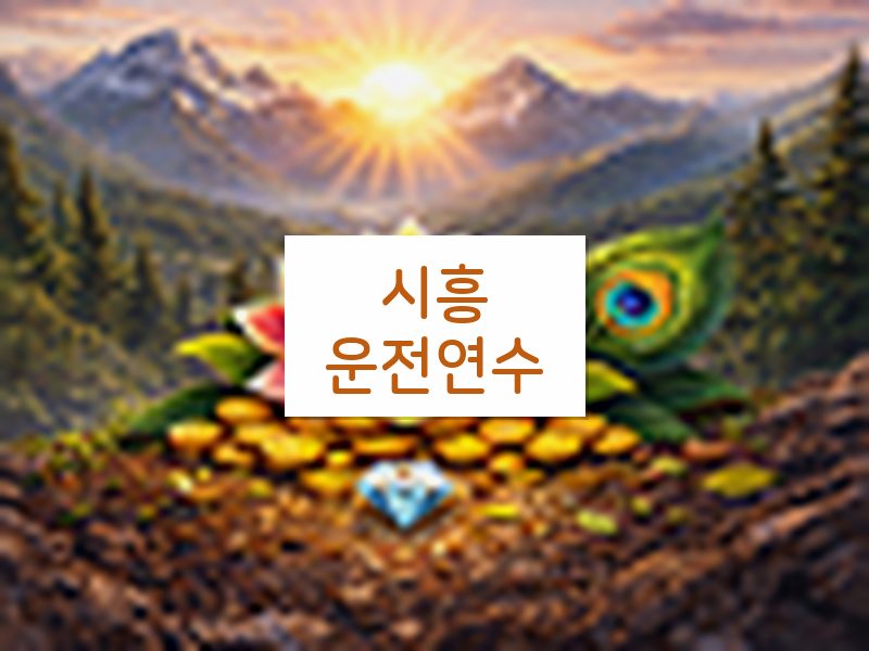 시흥운전연수 후기