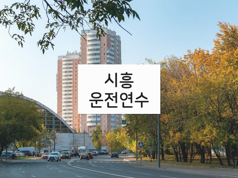시흥운전연수 후기