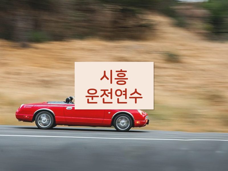 시흥운전연수 후기