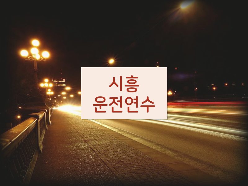 시흥운전연수 후기