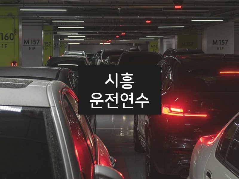 시흥운전연수 후기
