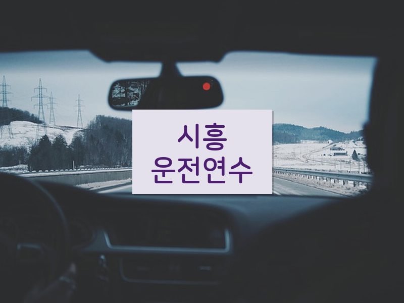 시흥운전연수 후기