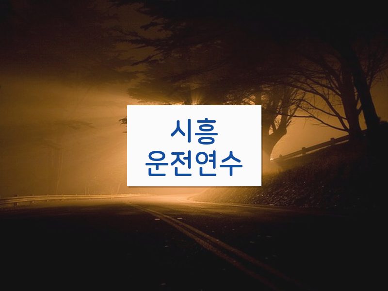 시흥운전연수 후기