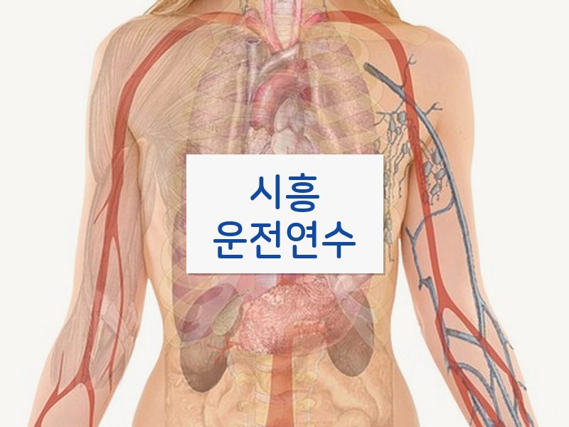 시흥운전연수 후기