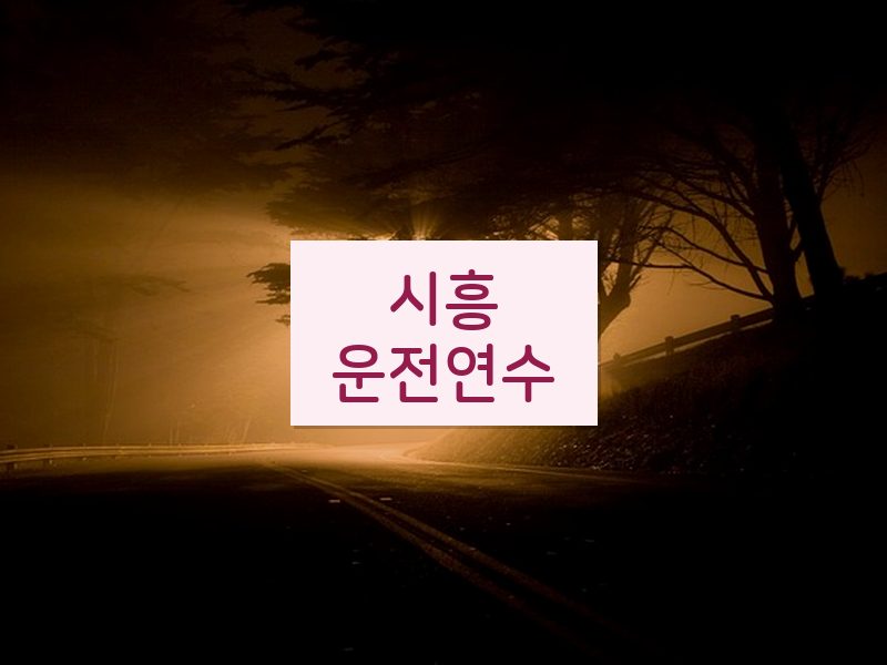 시흥운전연수 후기