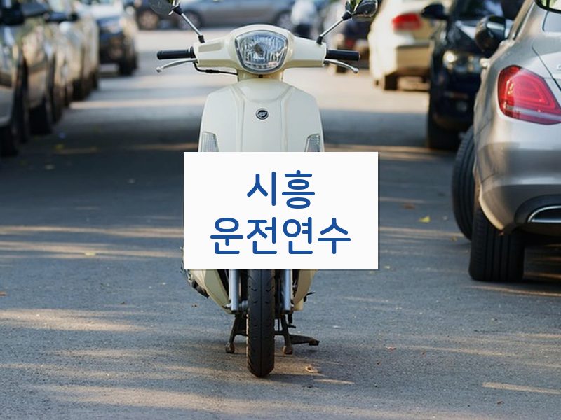 시흥운전연수 후기