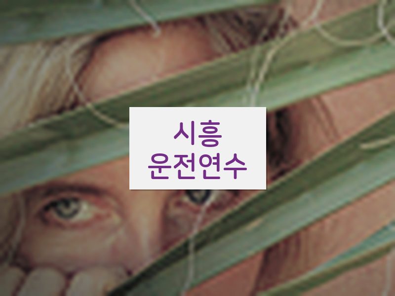 시흥운전연수 후기