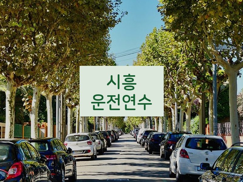 시흥운전연수 후기