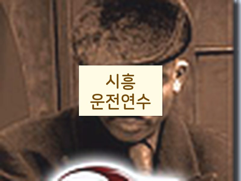 시흥운전연수 후기