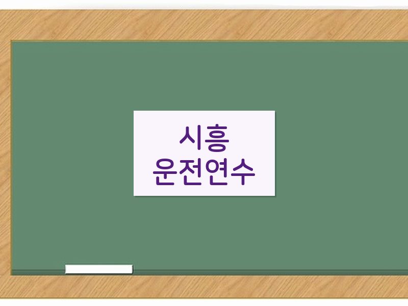 시흥운전연수 후기