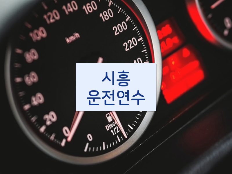 시흥운전연수 후기