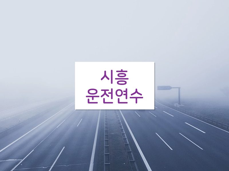 시흥운전연수 후기