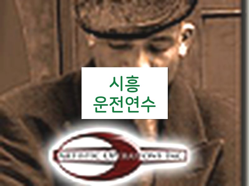 시흥운전연수 후기