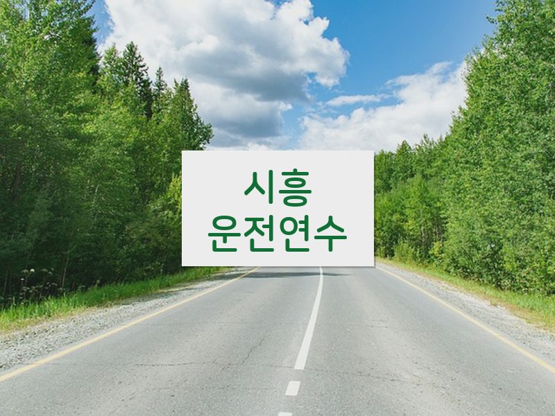 시흥운전연수 후기