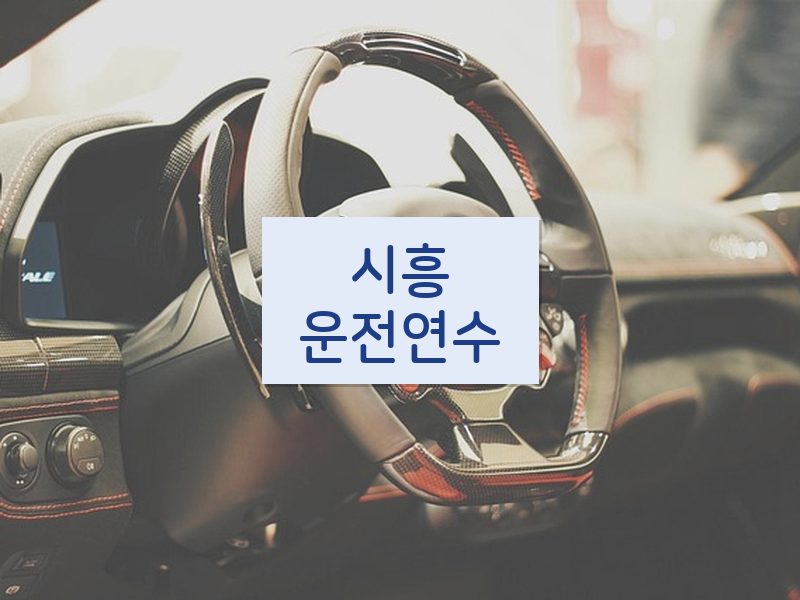 시흥운전연수 후기