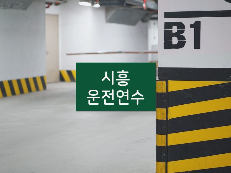 시흥운전연수 후기
