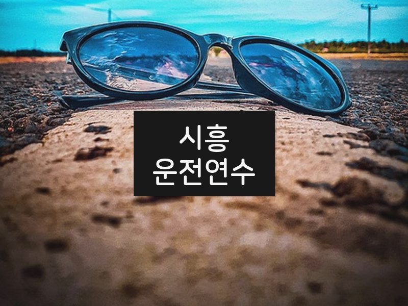 시흥운전연수 후기