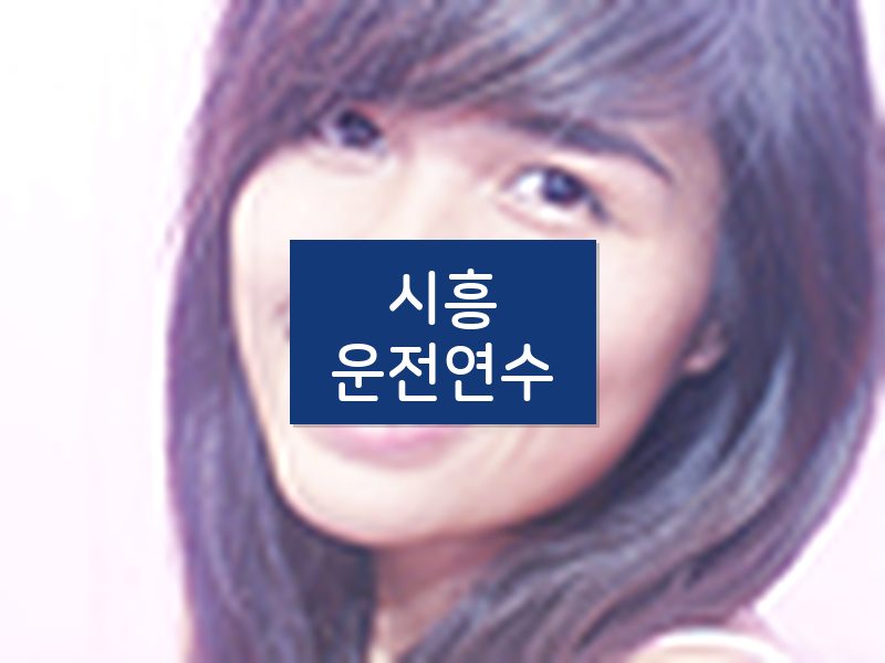 시흥운전연수 후기