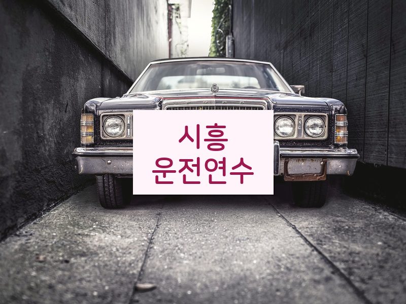 시흥운전연수 후기