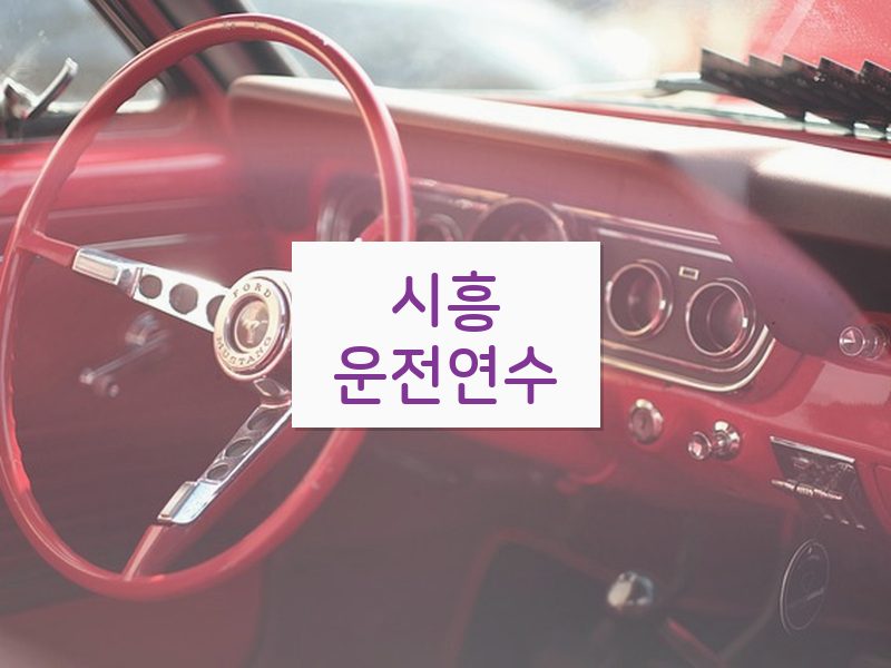 시흥운전연수 후기