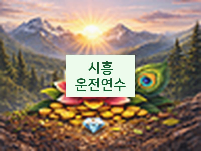시흥운전연수 후기