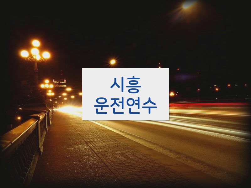 시흥운전연수 후기