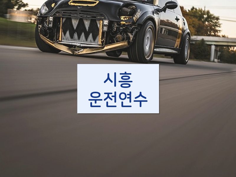 시흥운전연수 후기