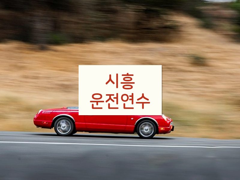 시흥운전연수 후기