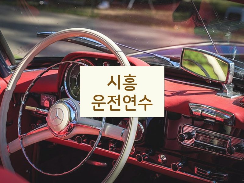 시흥운전연수 후기