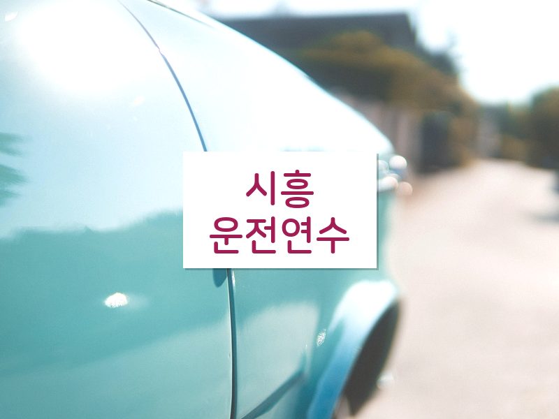 시흥운전연수 후기